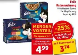 Interspar Felix Katzenfutter Angebot