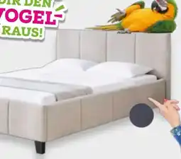 Mömax Based Polsterbett Crazy Angebot