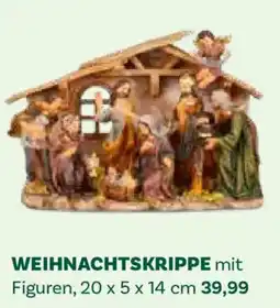 Bellaflora Weihnachtskrippe mit Figuren Angebot