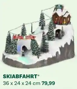 Bellaflora Skiabfahrt Angebot