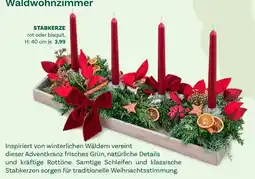 Bellaflora Waldwohnzimmer Angebot