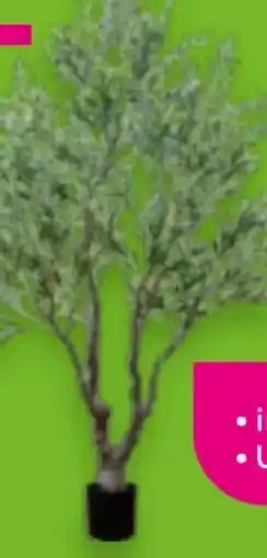 Mömax Kunstpflanze Olivenbaum Angebot