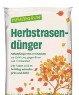 BayWa Immergrün Herbstrasendünger Angebot