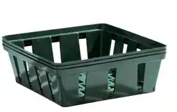 BayWa Windhager Blumenzwiebelschale Angebot