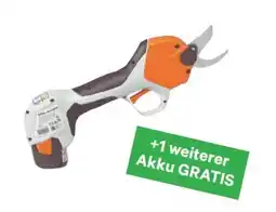 BayWa Stihl Akku-Astschere-Set ASA 20 Angebot