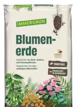 BayWa Immergrün Blumenerde Angebot