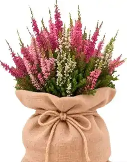 BayWa Windhager Jute-Sack Angebot