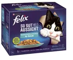 BayWa Purina Felix Geschmacksvielfalt Gelee Angebot