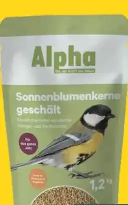 BayWa Alpha Sonnenblumenkerne Angebot