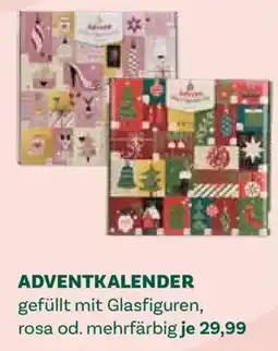 Bellaflora Adventkalender Angebot