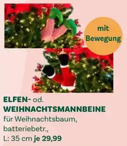 Bellaflora Elf- oder Weihnachtsmannbeine Angebot