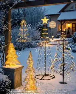 Bellaflora LED-Weihnachtsbaum 'Patric' Angebot