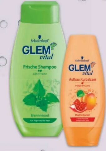 Metro Glem Vital Shampoo Angebot