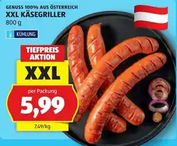 Hofer XXL Käsegriller Angebot