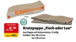 Das Futterhaus Kratzpappe „Fisch oder Leo“ Angebot