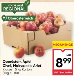 Maximarkt Oberösterr. Äpfel Civni, Mairac oder Arlet Angebot