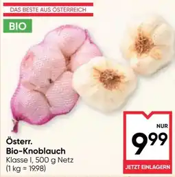 Maximarkt Österr. Bio-Knoblauch Angebot