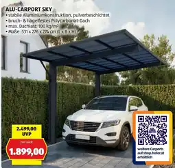 Hofer ALU-CARPORT SKY Angebot