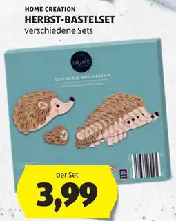 Hofer Home creation herbst-bastelset Angebot