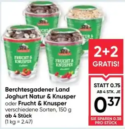 Maximarkt Berchtesgadener Land Joghurt Natur & Knusper Angebot