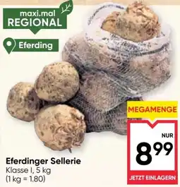 Maximarkt Eferdinger Sellerie Angebot