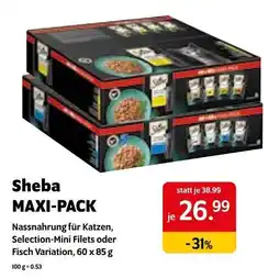 Das Futterhaus Sheba MAXI-PACK Angebot