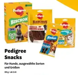 Das Futterhaus Pedigree Snacks Angebot