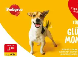 Das Futterhaus Pedigree Angebot