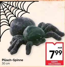 Maximarkt Plüsch-Spinne Angebot