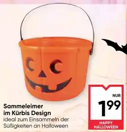 Maximarkt Sammeleimer im Kürbis Design Angebot