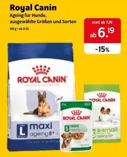Das Futterhaus Royal Canin Ageing für Hunde Angebot
