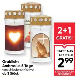 Maximarkt Grablicht Ambrosius 5 Tage Angebot