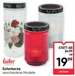 Maximarkt hofer Solarkerze Angebot