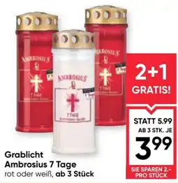 Maximarkt Grablicht Ambrosius 7 Tage Angebot