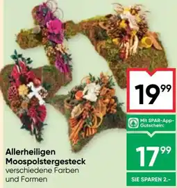 Maximarkt Allerheiligen Moospolstergesteck Angebot