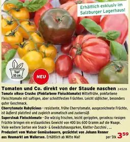 Salzburger Lagerhaus Tomaten und Co. direkt von der Staude naschen Angebot