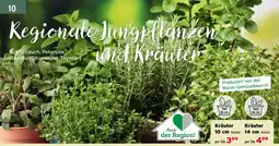 Salzburger Lagerhaus Kräuter Angebot