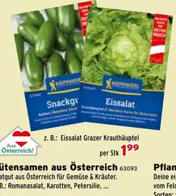 Salzburger Lagerhaus Kiepenker Eissalat Angebot