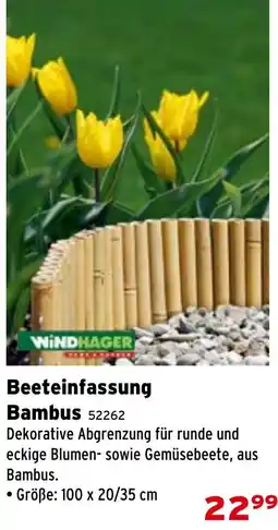 Salzburger Lagerhaus Beeteinfassung Bambus Angebot