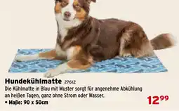 Salzburger Lagerhaus Hundekühlmatte Angebot