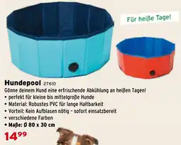 Salzburger Lagerhaus Hundepool Angebot