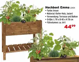 Salzburger Lagerhaus Hochbeet Emma Angebot