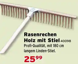 Salzburger Lagerhaus Rasenrechen Holz mit Stiel Angebot