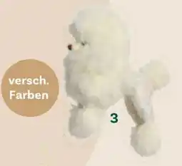 Bellaflora Hund Angebot