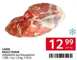 Transgourmet Lamm keule femur Angebot
