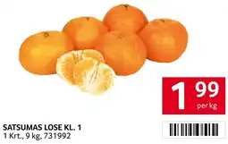 Transgourmet Satsumas lose kl. 1 Angebot