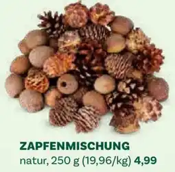 Bellaflora Zapfenmischung Angebot