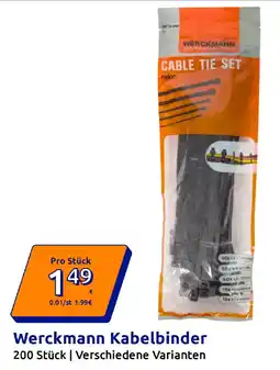 Action Werckmann Kabelbinder Angebot