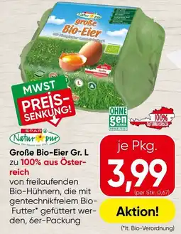 Spar große Bio-Eier Gr. L Angebot