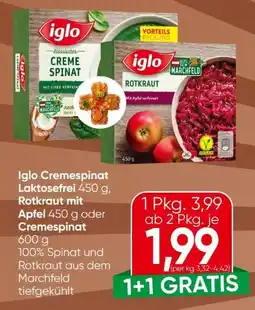 Eurospar Iglo Cremespinat Angebot